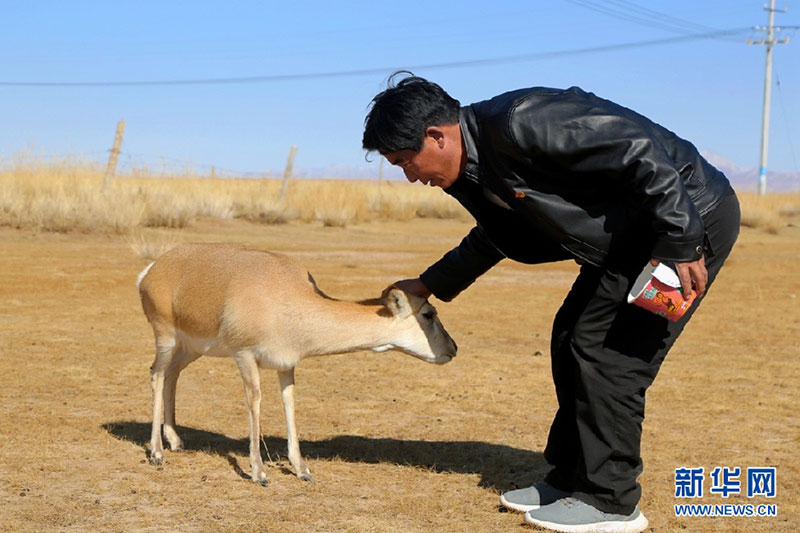 དགོ་བ་ཆུང་ཆུང་དང་སྐོར་སྲུང་འབྲོག་པ་རྒྱ་མཚོ།