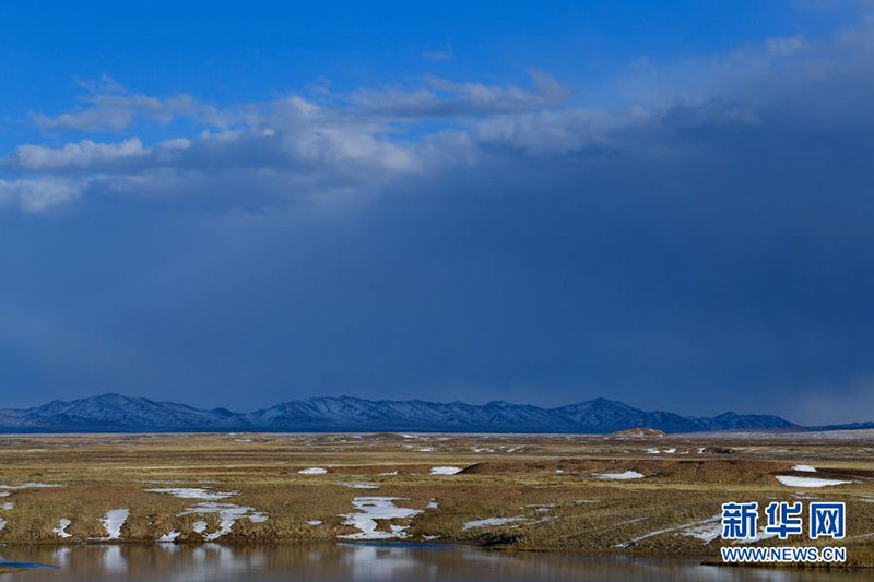 རབ་མཛེས་མཚོ་སྔོན་ནས་མཐོ་སྒང་གི་རི་དྭགས་དང་འཕྲད་པ། 