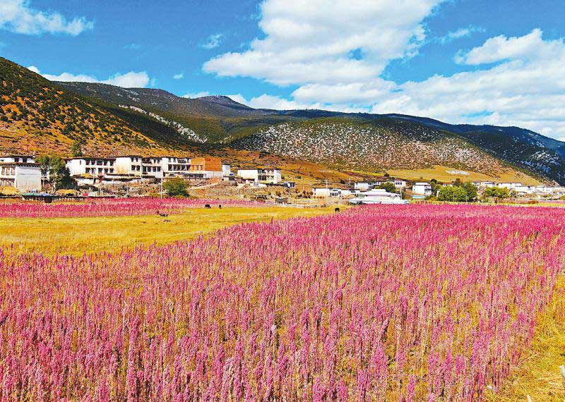 བོད་ཁྱིམ་སྤྲོ་ཁང་ནང“གཉེར་པ”ཡོད།