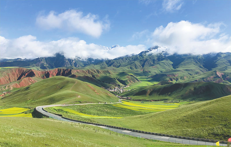 ལྗང་མདོག་ནི་མཚོ་སྔོན་འཕེལ་རྒྱས་ཀྱི་ཚོན་མདོག་གཙོ་བོ་ཡིན་པ། 