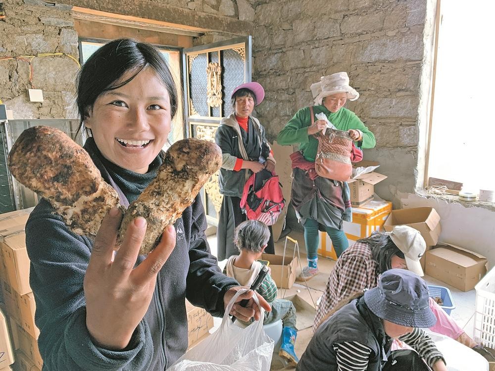 བདེ་སྐྱིད་ཀྱི་སྐལ་བཟང་མེ་ཏོག་འདབ་པའི་ཡུལ་དུ་བཞད།