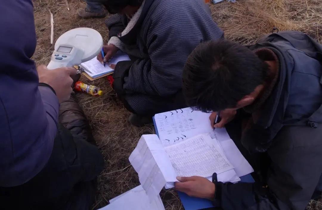 ནོར་གནག་ཤི་ན་འགན་བཅོལ་ཀུང་སིས་སྐྱིན་དངུལ་མང་པོ་སྟེར།