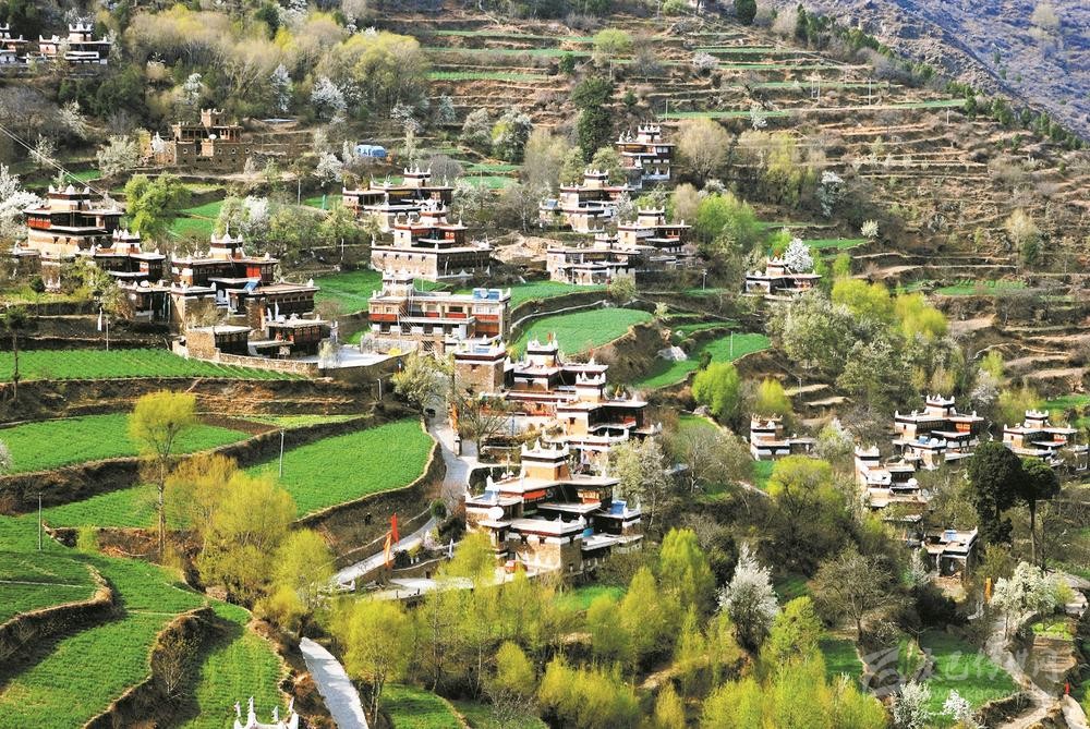 སི་ཁྲོན་ནུབ་རྒྱུད་ཀྱི་སྐོར་ལམ་དུ་མེ་ཏོག་ལ་ལྟད་མོ་ལྟ་ཞོར་ཡུལ་སྐོར་ལ་འགྲོ།