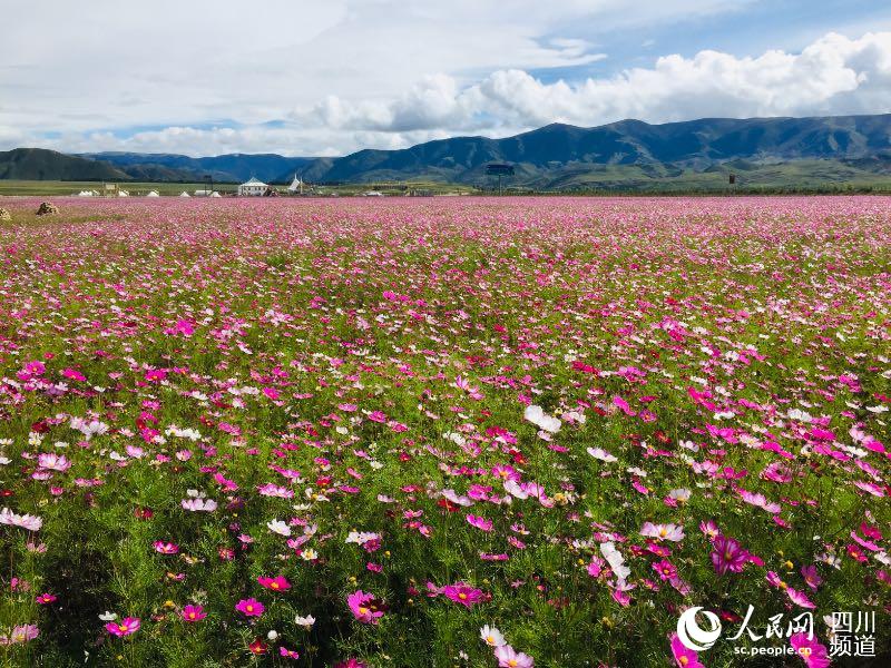 དཀར་མཛེས་ཁུལ་གྱི་མཛེས་ལྗོངས་ཁུལ་5ཡི་རིམ་པ་སྤར་རྩིས་ཡོད།