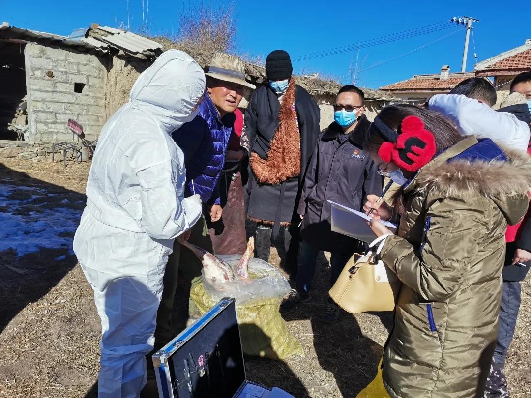 ཧུང་ཡོན་རྫོང་གིས་ཏོག་གསར་གློ་ཚད་སྔོན་འགོག་བྱས།