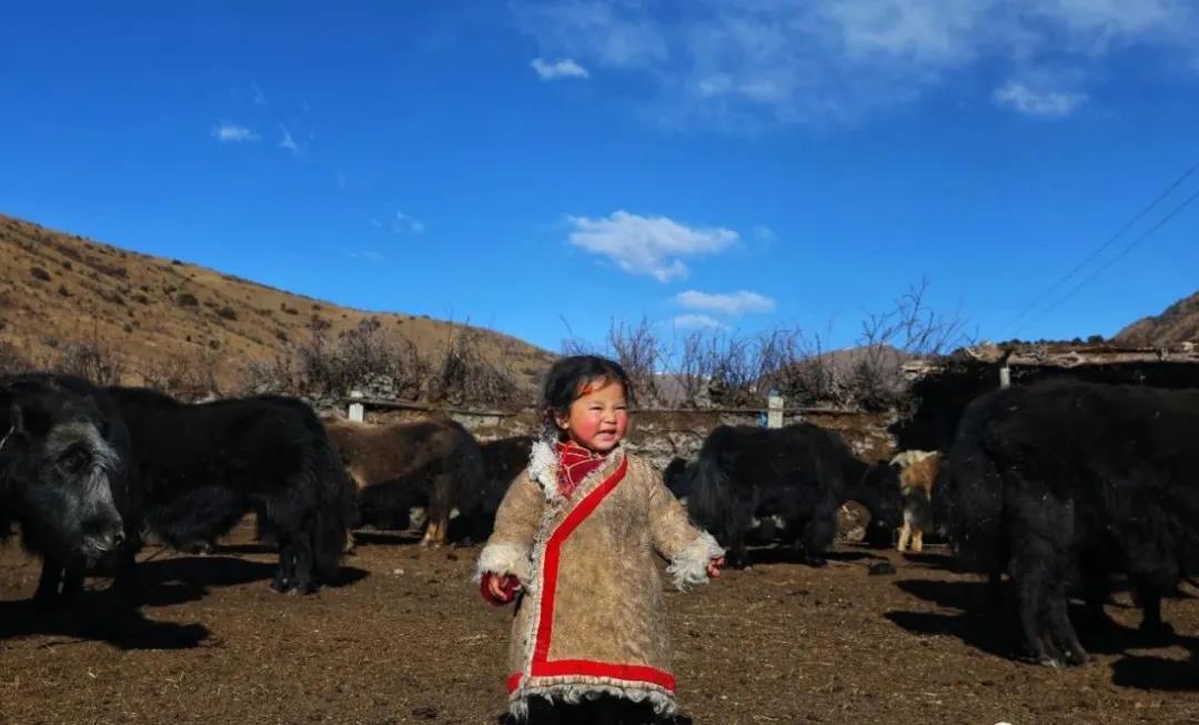 དཀར་མཛེས་སུ་ཡང་བུ་མོ་དྲ་གྲགས་ཞིག་ཐོན་འདུག