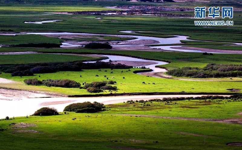 སི་ཁྲོན་མཛེས་རྩལ་ཁང་གིས“དག་པའི་ཞིང་ཁམས·ལི་ཐང”ཞེས་པའི་པར་རིས་འགྲེམ་སྟོན་བྱས་པ།