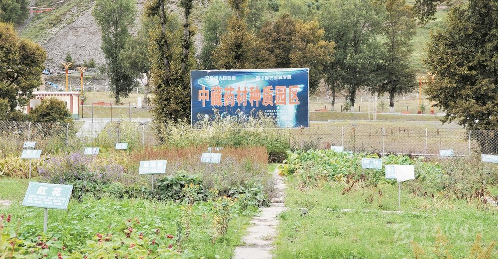 ན་ནིང་དཀར་མཛེས་ཁུལ་གྱི་རྒྱ་བོད་སྨན་རྫས་ཐོན་ལས་འབྲེལ་ཐག་གི་ཕྱོགས་བསྡུས་ཐོན་རྫས་རིན་ཐང་སྒོར་དུང་ཕྱུར15ལས་བརྒལ།