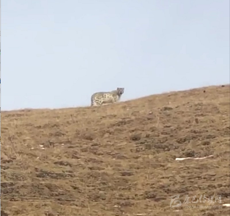 སྡེ་དགེ་རྫོང་རྫ་བར་མ་ནས་གསའ་ཞིག་མཐོང་།
