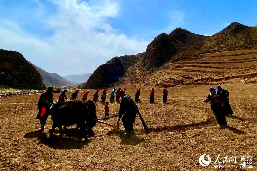 མཚོ་སྔོན་ཐ་རྒྱ་སྡེ་བས་ཐོང་ཁ་འབྱེད་པའི་ཆོ་ག་སྤེལ།