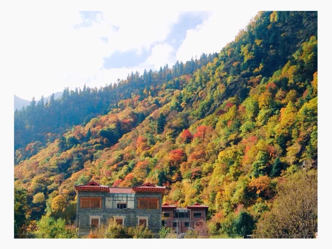 ནགས་ཚལ་ལེགས་པར་སྲུང་སྟེ་མེ་གསོད་མེ་འགོག་སྲུང་ཡོལ་བརྟན་དུ་གཏོང་།
