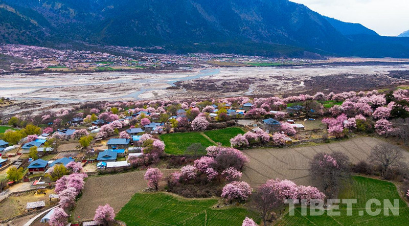 ཁྱད་ལྡན་ལེགས་ཆའི་ཐོན་ལས་ལ་བརྟེན་ནས་སྐྱེ་ཁམས་ཡུལ་སྐོར་སྤུས་ཚད་མཐོན་པོའི་སྒོ་ནས་འཕེལ་རྒྱས་གཏོང་བའི་དཔྱིད་ཀྱི་དུས་བཟང་བསུ་བ།
