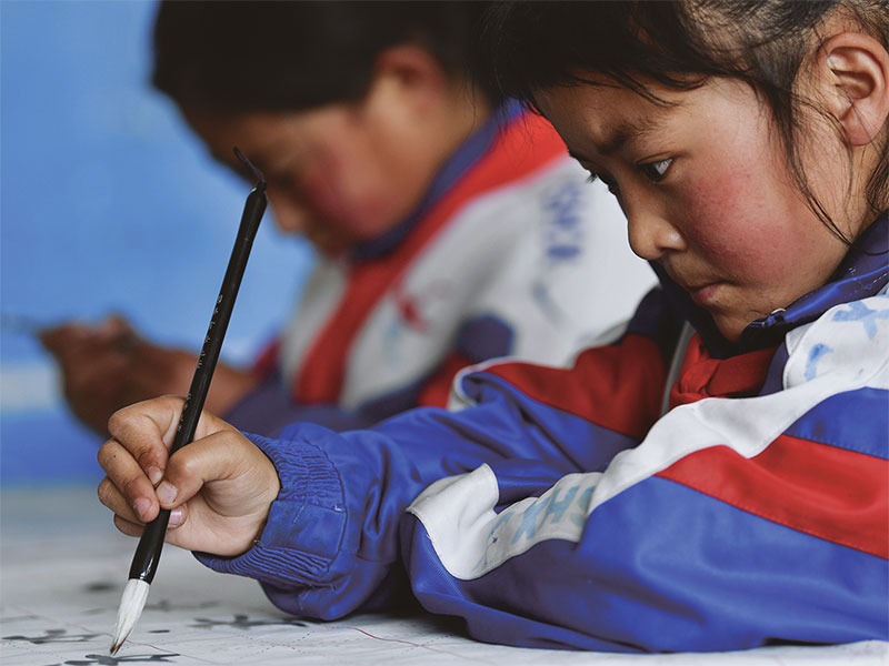 སློབ་གསོ་མཚོ་སྐྱོར་ལོ་བཅུའི་ནང་རྣམ་གྲངས་ཁག་260ལྷག་ཙམ་དོན་འཁྱོལ་བྱས་པ།