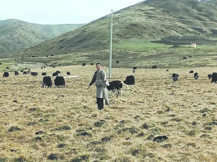 ནོར་གནག་གི་རྫི་བོ།། འབྱོར་ཕྱུག་གི་ལམ་སྟོན།།