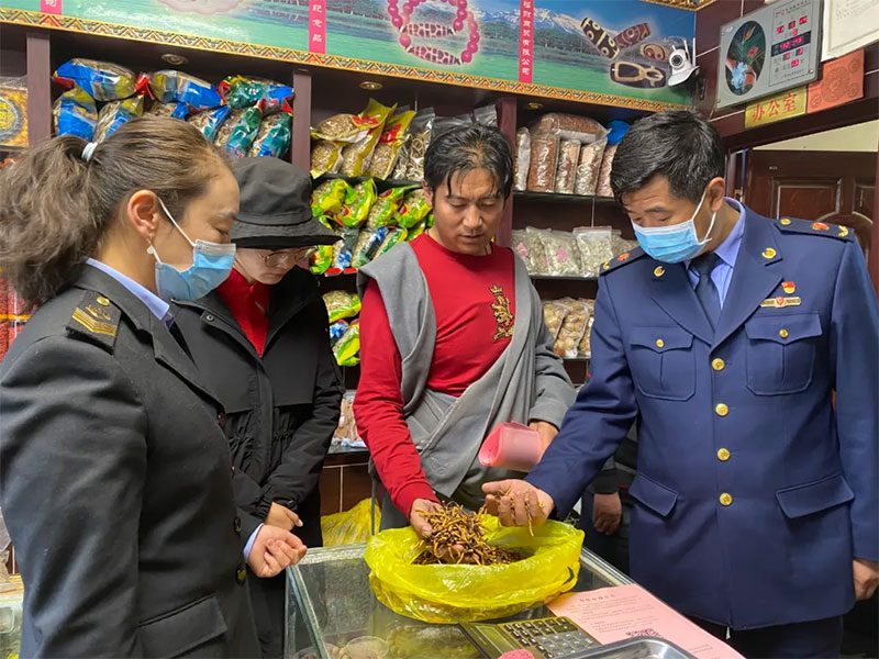 བོད་ལྗོངས་ཀྱིས་དབྱར་རྩྭ་དགུན་འབུ་རྫུན་མ་ཁེ་625.6ཞིབ་བཤེར་བཀག་སྡོམ་བྱས།