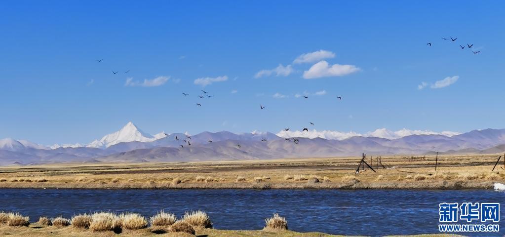 མཐོ་སྒང་གི་ཁྲུང་ཁྲུང་མགོ་ཁྲ།
