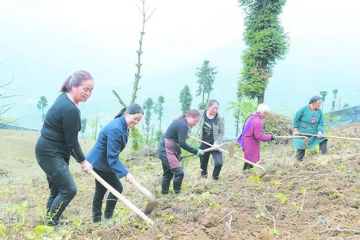 ཁྱད་ལྡན་ཞིང་ལས་ཀྱིས་གྲོང་གསེབ་དར་རྒྱས་གཏོང་རོགས་བྱས་པ།