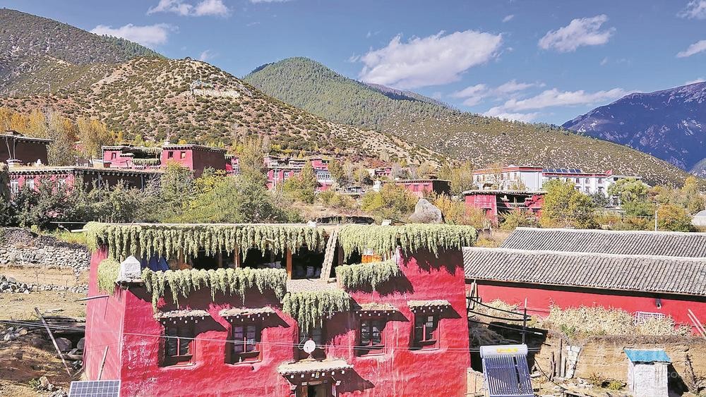 ཤིང་ཏོག་གི་དྲི་ཞིམ་ཁྲོད་ཀྱི་བོད་ཁང་དམར་པོ།