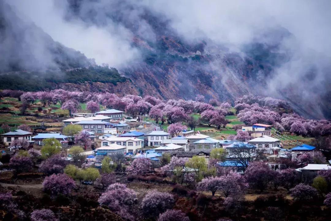 བོད་ཀྱིས་ཁོར་ཡུག་སྲུང་སྐྱོང་ལ་སྒོར་དུང་ཕྱུར་མང་པོ་བཏང་འདུག