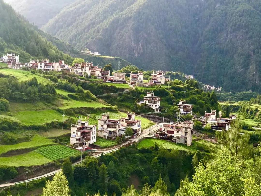 སྤྲུལ་སྐུ་ཞིག་གིས་གཉེར་བའི་དམར་དམག་བཤམས་སྟོན་ཁང་།