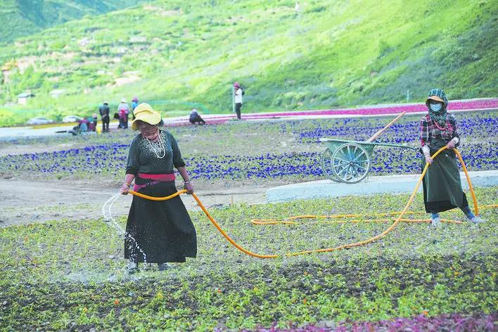 ཟུང་ཆུ་རྫོང་གིས་ས་མཐོའི་དེང་རབས་ཞིང་ལས་ཐོན་ལས་གླིང་བསྐྲུན་པ།