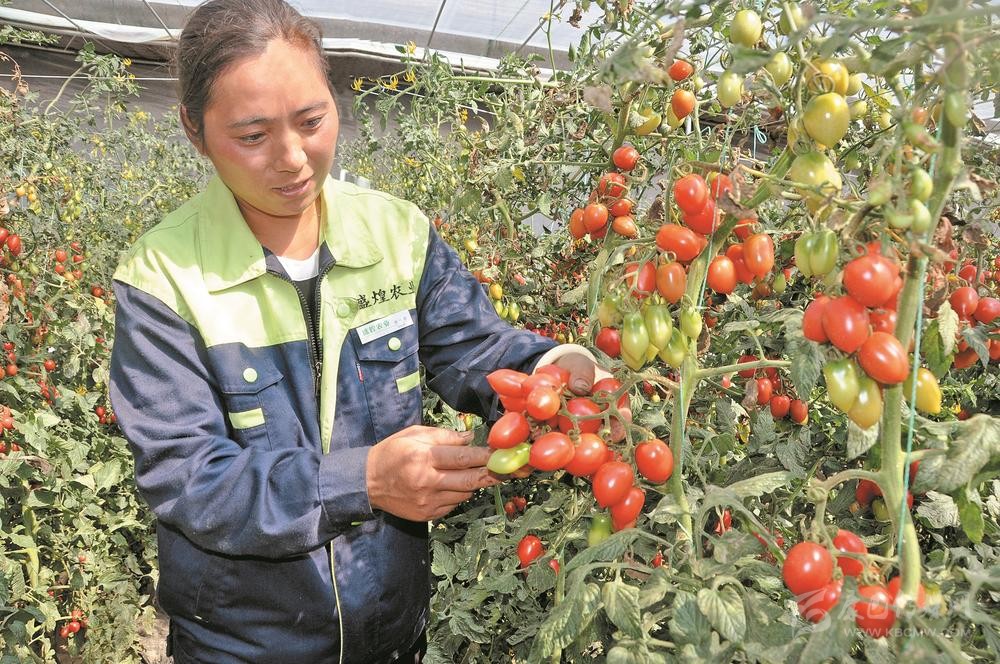 ས་ཁོངས་བརྒལ་བའི་གླིང་ཁུལ་གྱིས་སི་ཁྲོན་བོད་འབྲེལ་ས་ཁུལ་ལ་འཕེལ་ཁ་དར་དུ་བཅུག