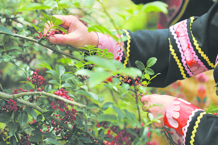 བཙན་ལྷ་རྫོང་གིས་གཡེར་མ་ཐོན་ལས་ལ་བརྟེན་ནས་མང་ཚོགས་ཀྱི་ཡོང་འབབ་འཕར་བར་རམ་འདེགས་བྱས།