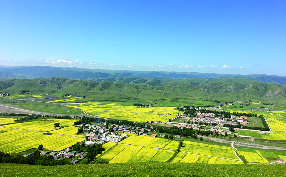 རྟའུ་རྫོང་གིས་འབྱུང་འཕྲོད་སྐྱེ་ཁམས་འཛུགས་སྐྱོང་བྱས་ནས་ཕྱུག་འགྱུར་ལམ་བུར་བསྐྱོད།