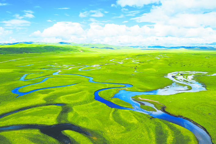 ཀུན་གྱི་རྩ་བ་སྐྱེ་ཁམས་སྲུང་སྐྱོང་ཡིན།