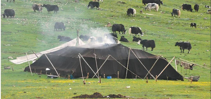 སྦྲ་ནག“ཁྲི་འདུས་སྟོང་ཤོང”ལས་མངོན་པའི་འབྲོག་ཁུལ་གྱི་ཤེས་དཔལ།