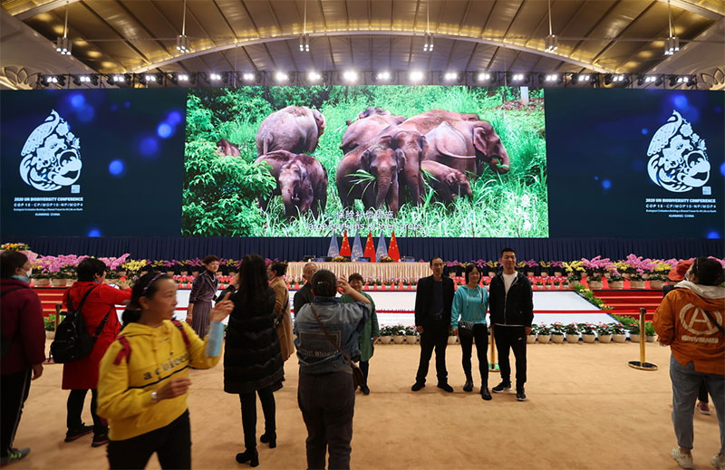 COP15ཡི་ཚོགས་ར་རིན་མེད་ངང་སྤྱི་དམངས་ལ་སྒོ་ཕྱེ་བ།