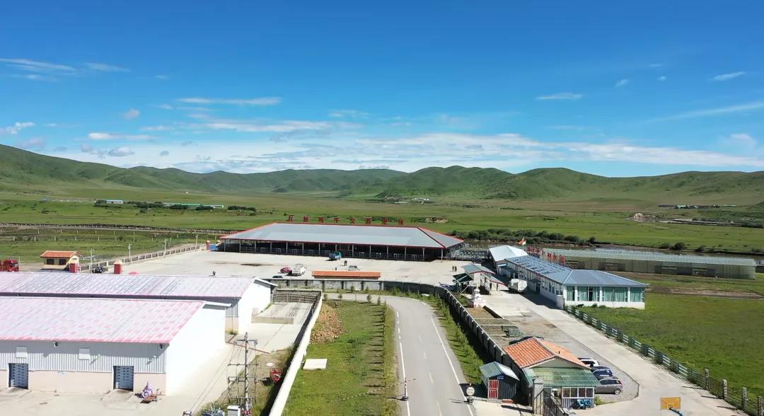 ཕྱུགས་ཟོག་ཉོ་ཚོང་ཁྲོམ་ར་རུ།། ཁྱད་ལྡན་ཐོན་ལས་དར་སྤེལ་བཏང་།།