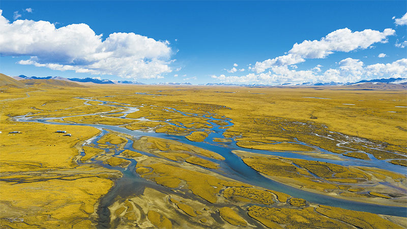 མཛེས་སྡུག་ཡིད་དུ་འོང་བའི་འདམ་ར།