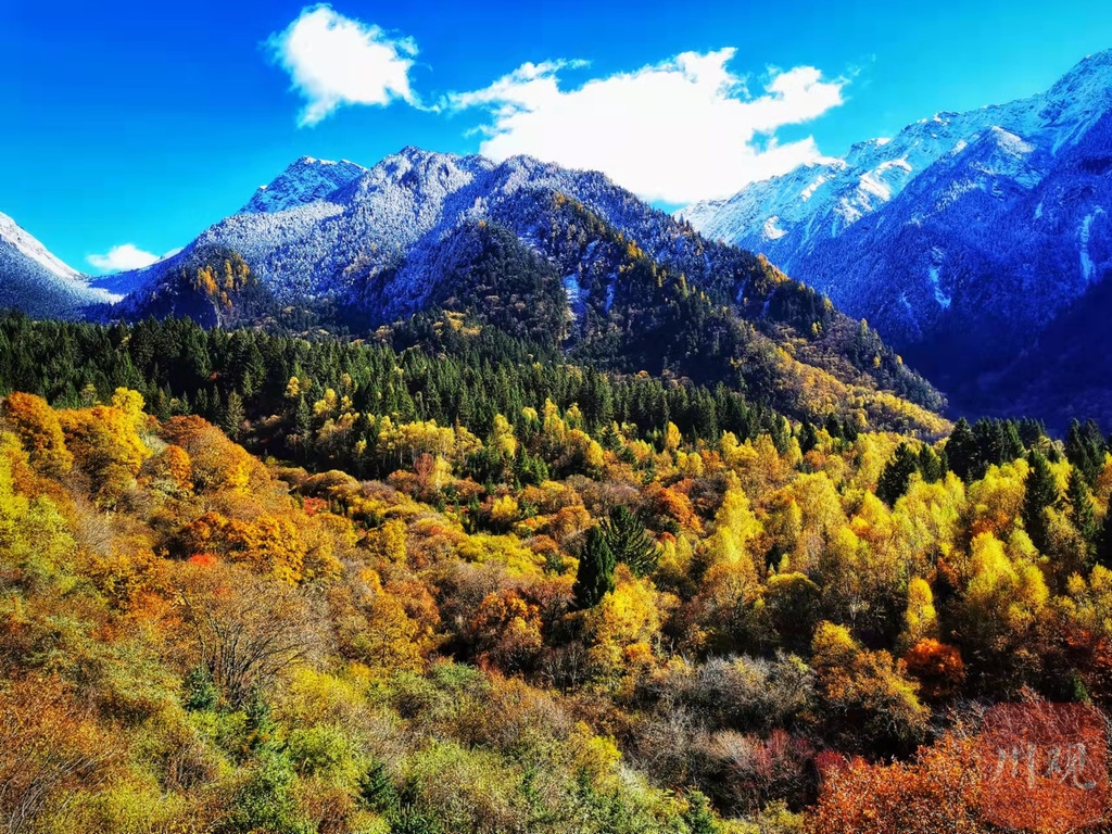 དགུན་དུས་ཀྱི་གཟི་ཚྭ་སྡེ་དགུའི་མཛེས་ཉམས།
