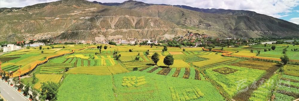 ཐོན་ལས་འཕེལ་རྒྱས་བཏང་ནས་རི་གྲོང་ཀུན་ཏུ་འགྱུར་ལྡོག་ཆེན་པོ་བྱུང་།