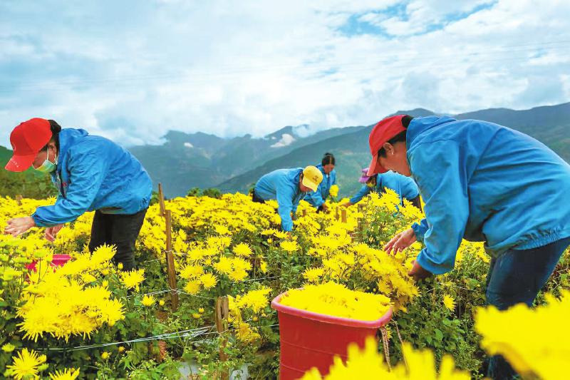 ཕན་ཀྲི་ཧྭ་གྲོང་ཁྱེར་གྱིས་མུ་ལི་རྫོང་ལ་ལོ11རིང་ཁ་གཏད་རོགས་སྐྱོར་བྱས།