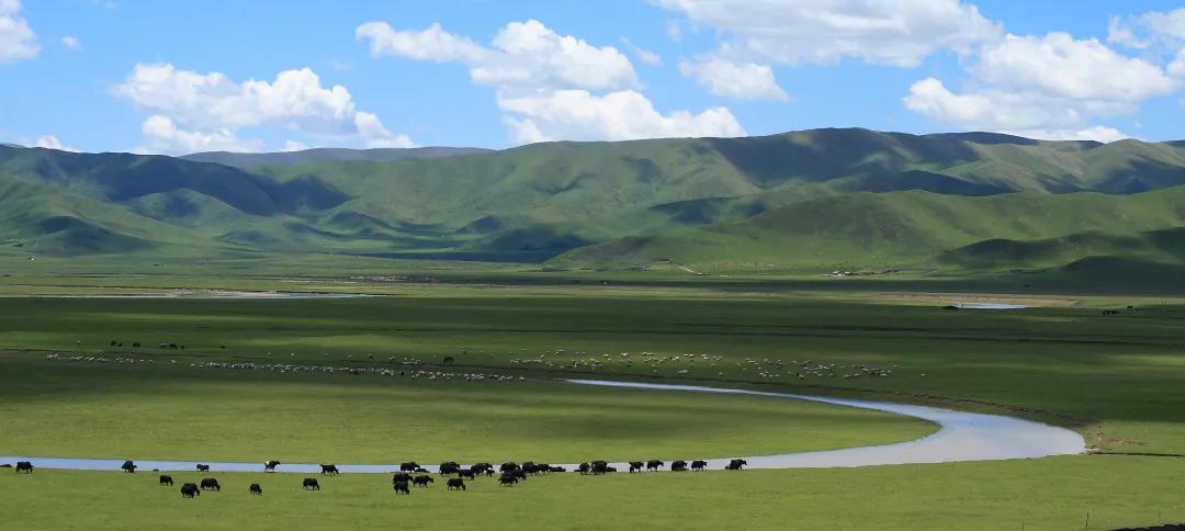 རྔ་ཁུལ་གྱི་སྐྱེ་ཁམས་ཁྱིམ་གཞིས་འཛུགས་སྐྲུན་བྱས་པའི་གནས་ཚུལ།