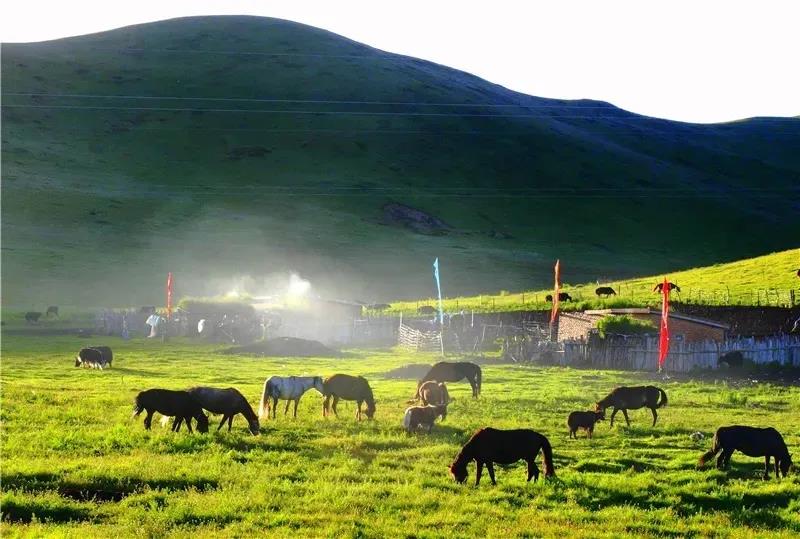རྔ་བ་ཁུལ་སྤུས་ཚད་མཐོན་པོའི་འཕེལ་རྒྱས་ཀྱི་ལམ་དུ་སྐྱོད་པའི་གནས་ཚུལ།