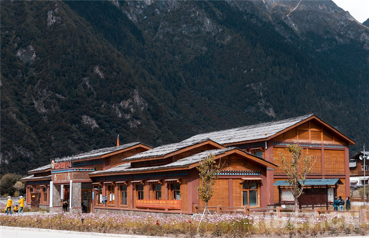 བོད་ལྗོངས་ཀྱིས་གྲོང་གསེབ་དར་སྤེལ་ལ་སྐུལ་འདེད་ཤུགས་ཆེན་བཏང་བ།