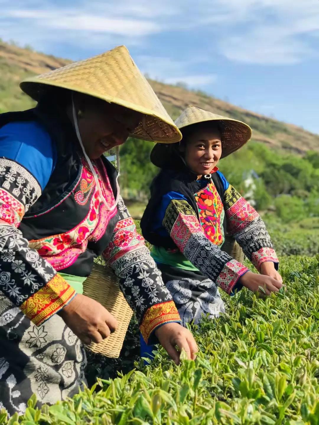 ཇ་ལོ་ཇ་ལས་སུ་བསྒྱུར་ནས། གྲོང་གསེབ་དར་རྒྱས་ལ་སྐུལ་འདེད་བྱས།