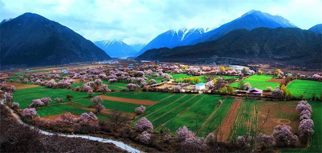 དམངས་འཚོ་རྩ་བར་བཟུང་ནས་བདེ་སྐྱིད་ལྡན་པའི་འཚོ་བ་གསར་པ་བཏོད།