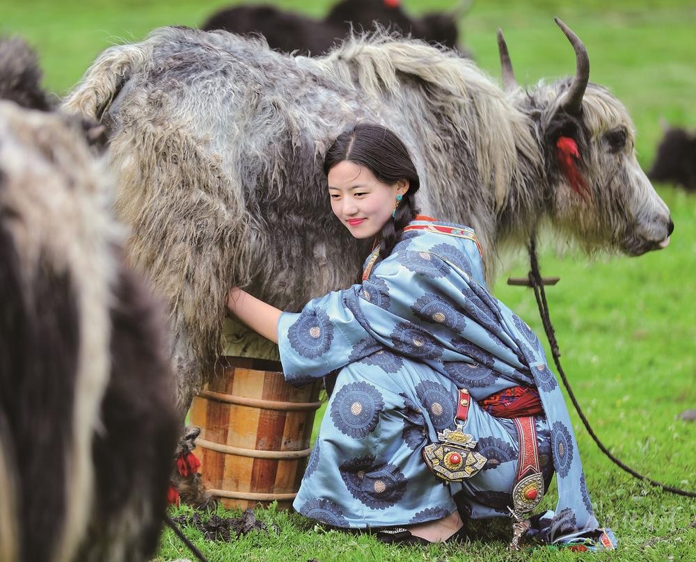 ཁྲོ་ལའི་འདབས་ཀྱི་བདེ་སྐྱིད་ཀྱི་རྣམ་པ་གསར་པ།