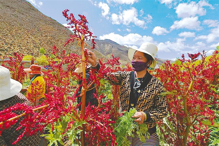 ཁྱད་ལྡན་འདེབས་འཛུགས་བྱས་ནས་འཕེལ་རྒྱས་ལ་སྐུལ་འདེད་བཏང་བ།