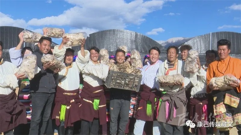 འབའ་ཐང་རྫོང་གིས་ཤ་མོ་ཐོན་ལས་ལ་བརྟེན་ནས་ཡུལ་སྡེ་དར་རྒྱས་གཏོང་།
