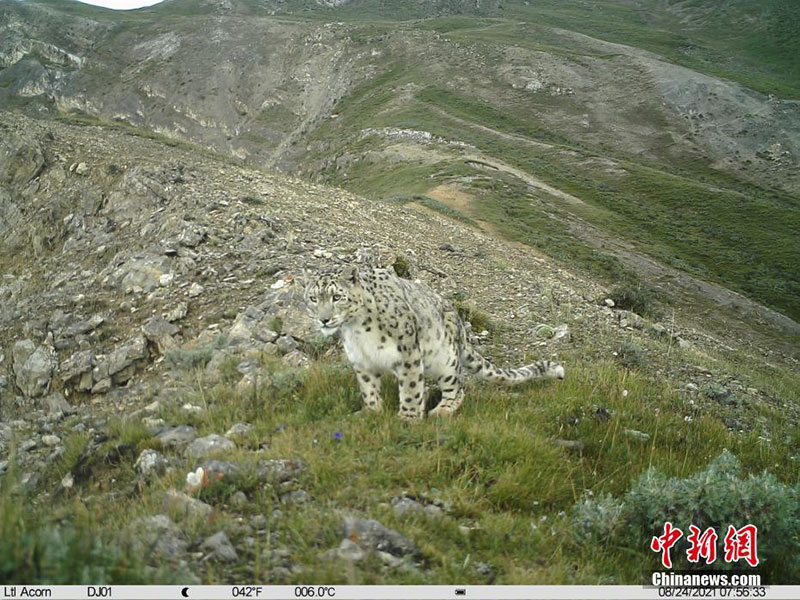 ནག་ཆུའི་ཁོངས་ཀྱི་རྫོང་དང་ཆུས་11ལ་གསའ་ཁྱབ་ཡོད། 