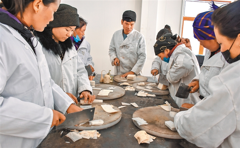 ལས་རིགས་རྩལ་ནུས་གསོ་སྦྱོང་བྱེད་ཤུགས་ཆེ་རུ་བཏང་བ།