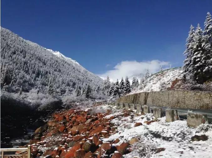 དུས་རབས་ཀྱི་ཟིལ་ཤུགས་དང་ཡར་བརྩོན་གྱི་བླ་སྲོག་བཏོད།