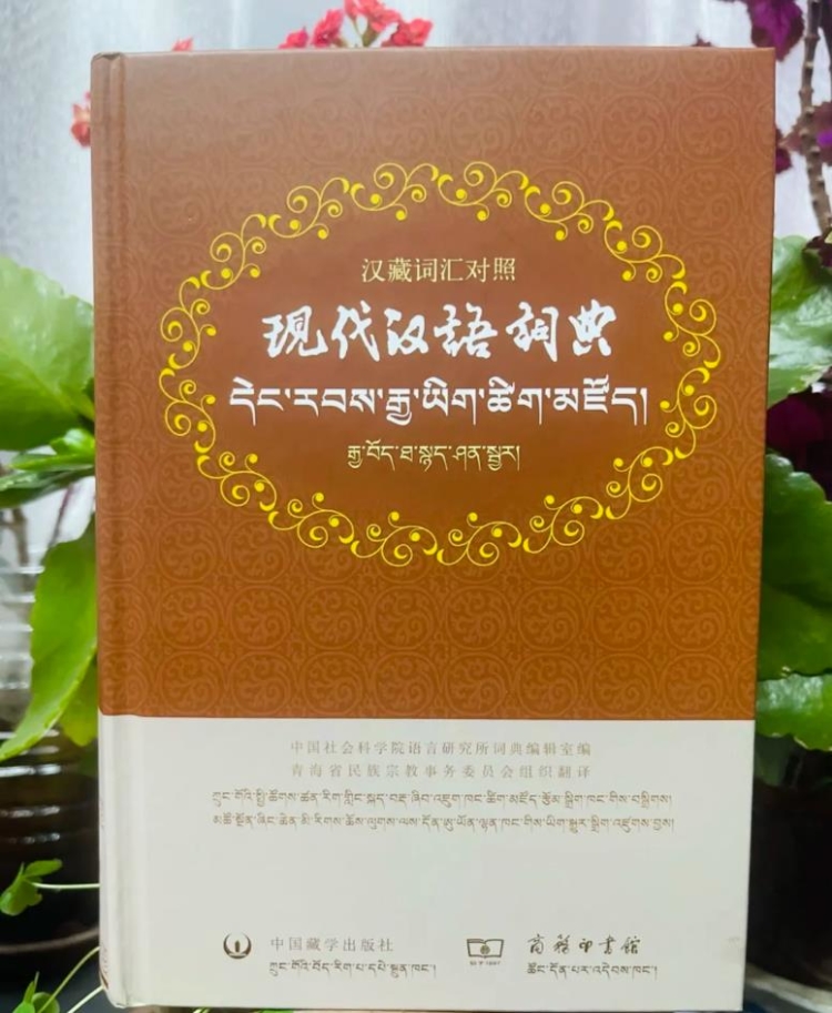 《དེང་རབས་རྒྱ་ཡིག་ཚིག་མཛོད》(རྒྱ་བོད་ཐ་སྙད་ཤན་སྦྱར)པར་སྐྲུན་འགྲེམ་སྤེལ་བྱས།