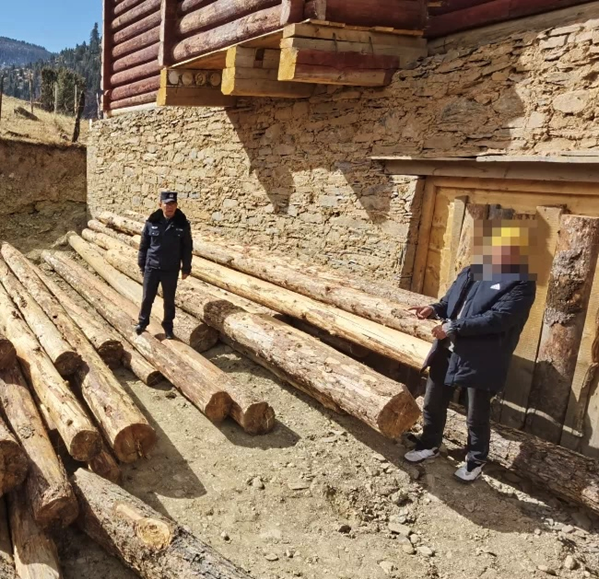 ཤིང་ཆ་ལྐོག་གཅོད་བྱེད་མཁན་གཉིས་ལ་ཁྲིམས་ཆད་ཕོག་འདུག