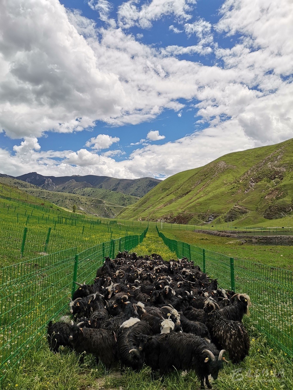 ཚན་རྩལ་ལ་བརྟེན་ནས་ཐོན་ལས་དར་རྒྱས་བཏང་།